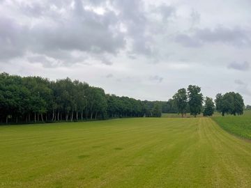 The grass campsite