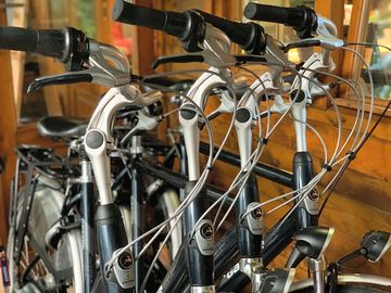 Rent a bicycle on site