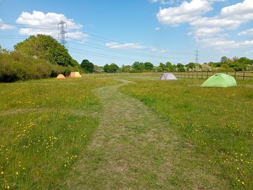 Meadow pitches