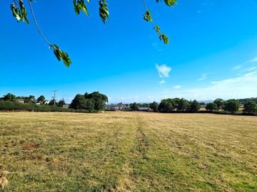 Local walk