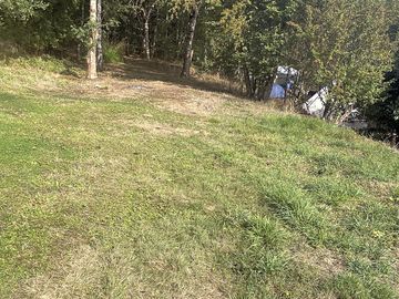 Tent area