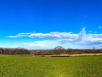 The Meadow