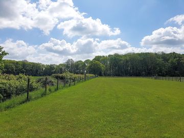 Well-kept level camping field