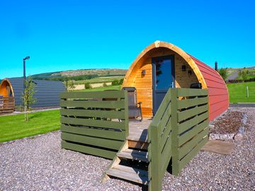 Pods with the bishop hill in the background