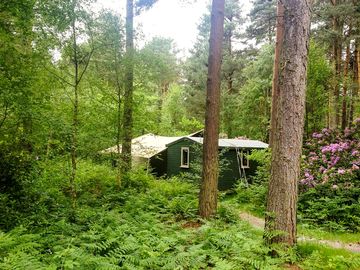 Hut in the woods