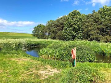 The wildlife pond