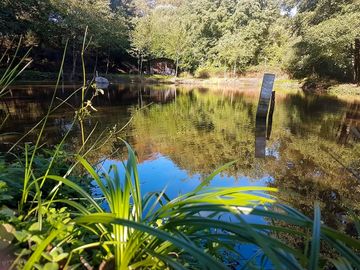 Nature spots around site