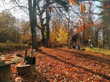 Autumn in the campsite