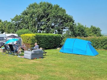 One pitch with families relaxing