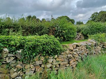 Quiet lane at the back of our pitch.