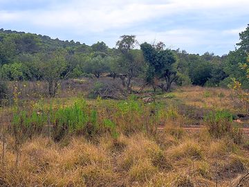 View of the site