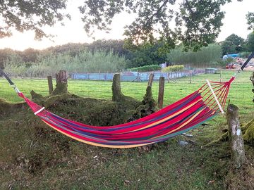 A hammock under the trees