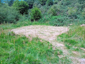 Plot 4