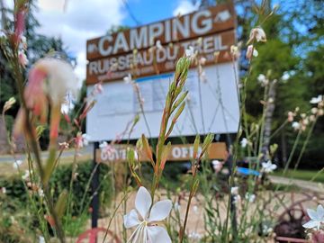 Camping ruisseau du treil