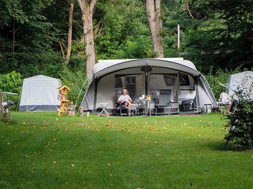 Pitch under the trees