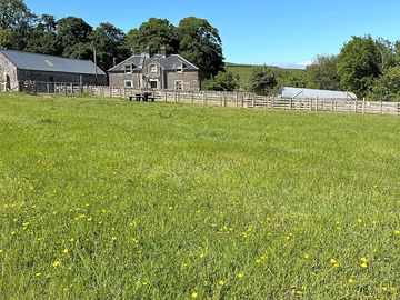 Stargazer The Paddock is our brand new pitch, surrounded by alpacas, horses, and sheep