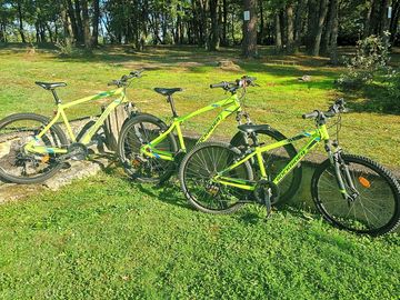 Vtt en location sur place