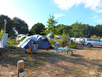 Grass pitches