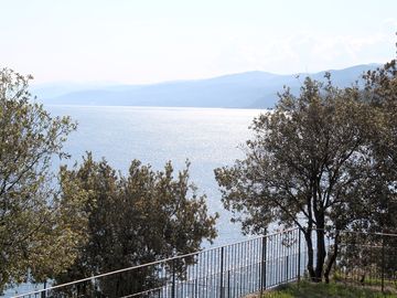 Overlooking the sea