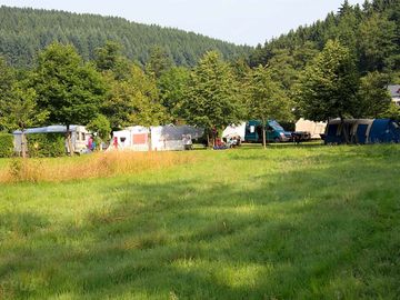 Grass pitches