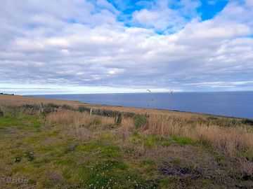 View from the site