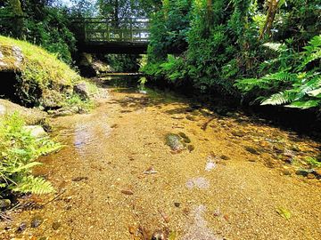 Stream running through touring park