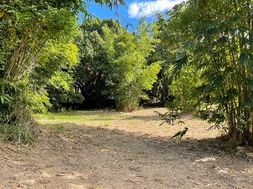 Shaded and secluded