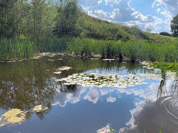Stay by the water