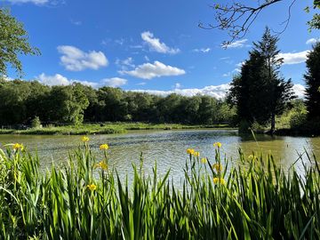 Large fishing lake