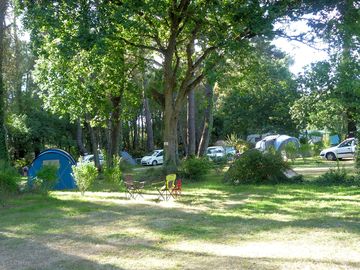 Shaded pitches among the trees