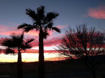 Sunset over the park