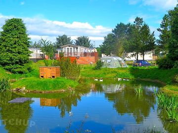 The pond