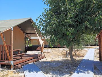 Front terrace with picnic table