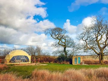 Dome next to an ancient oak tree