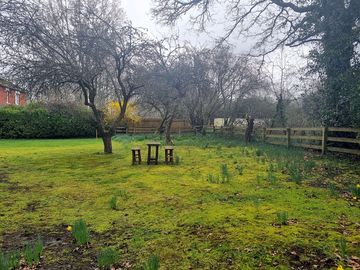 The site