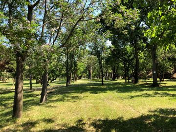 Pitches in shade and sunlight