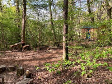 Woodland setting