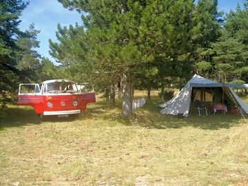 Pitches with sunny and shaded spots