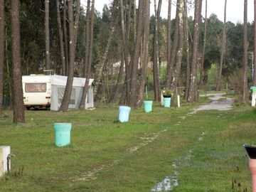 Grass pitches