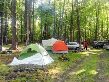 Camping among the trees