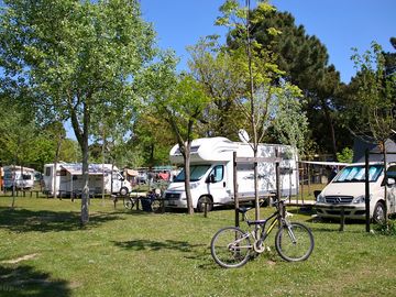 Large pitches surrounded by trees