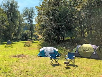 Grassy pitches beside the woodland