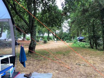 Tent pitches