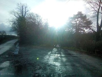 Woodland on site