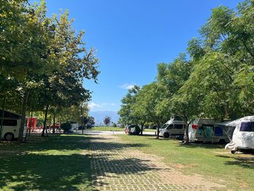 Camping pitches