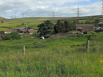 Rural view