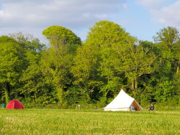 Grass field