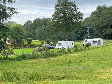 Spacious green pitches