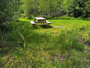 Woodland pitch
