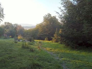 View from the pitches